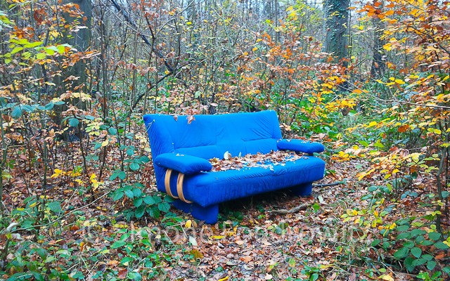 blaues Sofa im Wald