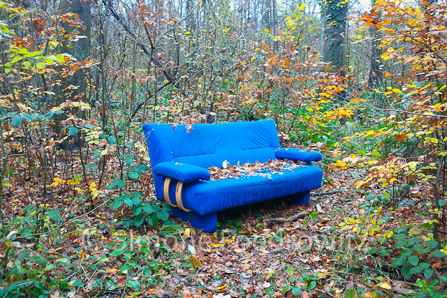 A-0057-sofa-wald-im-gruenen