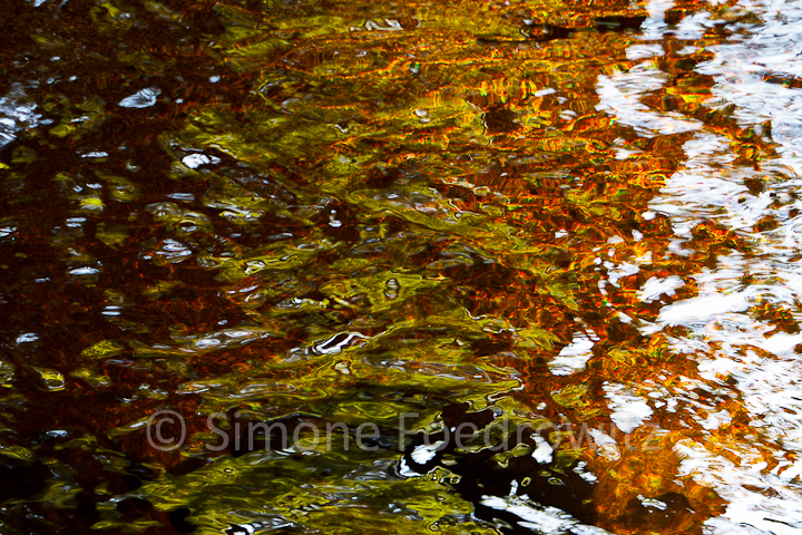 bunte Herbstlaubspiegelung im Wasser