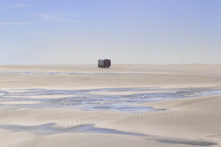 One reaches the protected part only with Farewell Spit Eco Tours. A-0121-farewell-spit-eco-tours