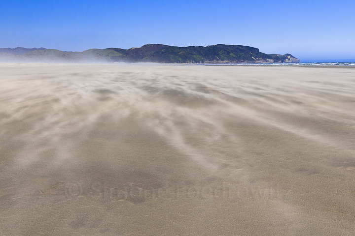 Sand sweeps about the ground at Fossil Point. A-0126-farewell-spit-outer-beach-sand-wind