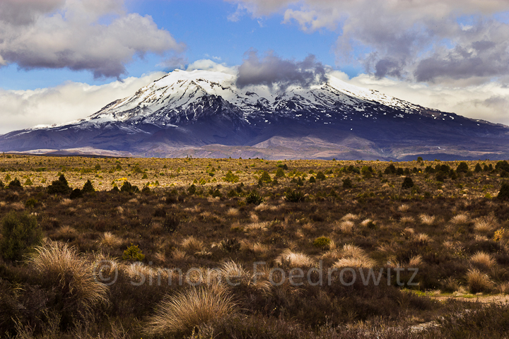 Grasebene vor schneebedecktem Berg