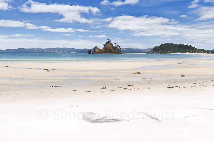 A-0160-whangapoua-pungapunga-island-new-zealand