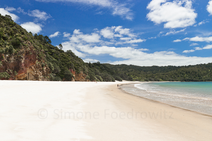 A-0163-new-chums-beach-new-zealand