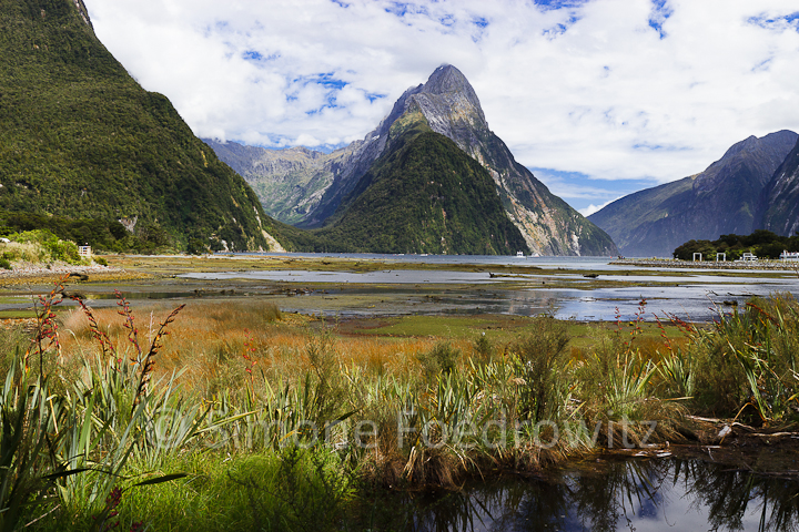 A-0174-milford-sound-new-zealand