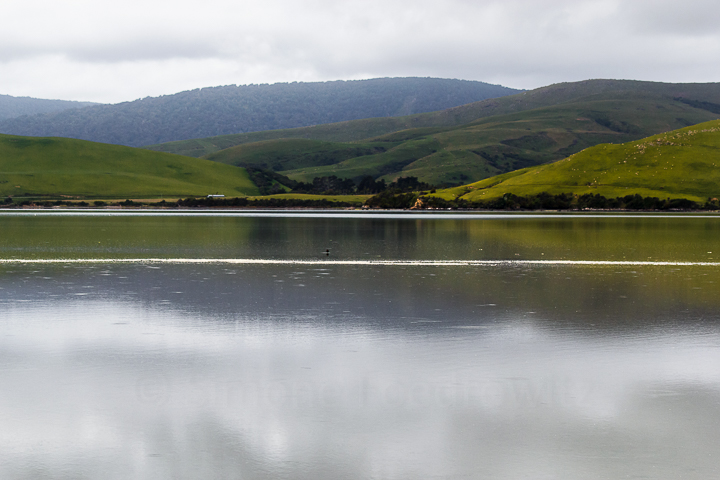 A-193-waikawa-harbour-catlins-new-zealand