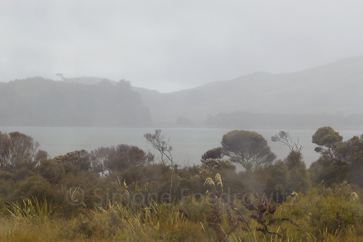 A-196-waikawa-harbour-rain-new-zealand