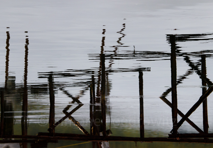 Wasserspiegelung Steg