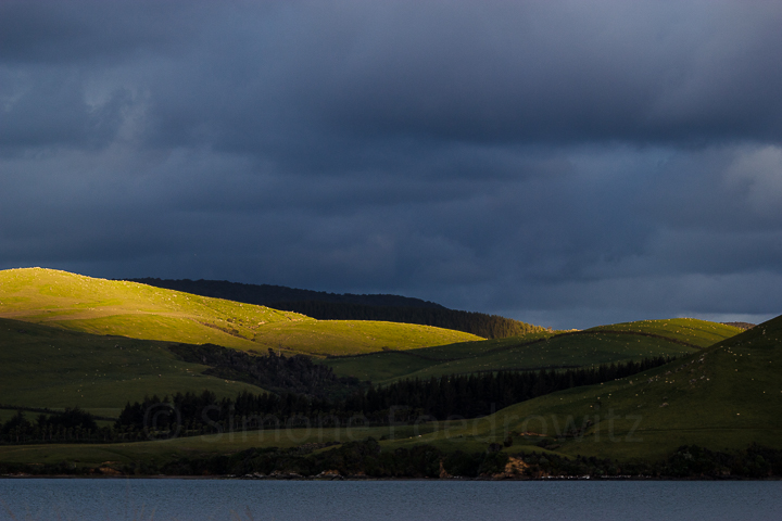 A-200-waikawa-harbour-new-zealand