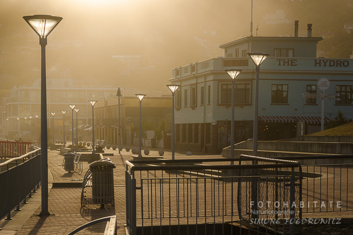 A-205-dunedin-city-beach-st-clair-promenade-new-zealand