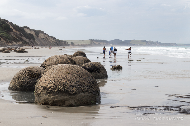 A-210-moeraki-boulders-stones-new-zealand