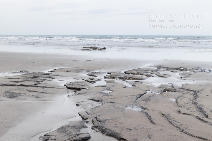 A-214-koekohe beach-new-zealand