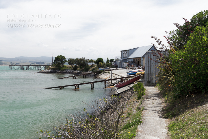 A-215-moeraki-village-new-zealand