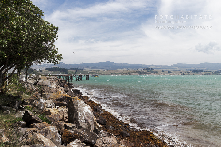 A-217-moeraki-village-new-zealand