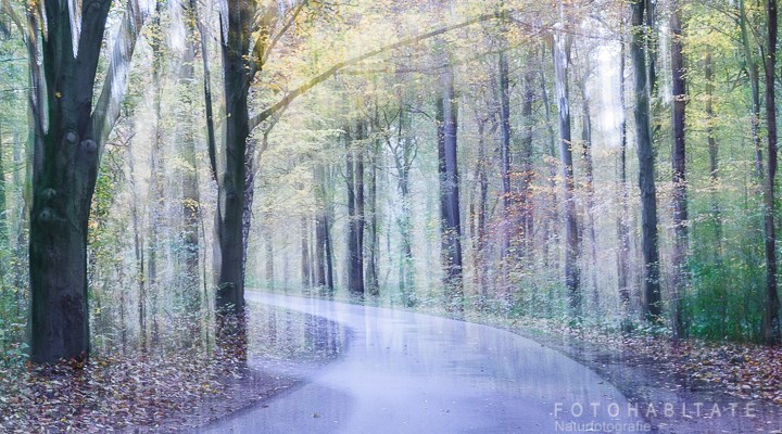 verwischter Waldweg mit buntem Herbstlaub