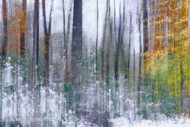 a-276-wischerbild-wald-schnee-intentional-camera-movement-snow-forrest