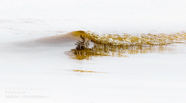 Welle mit Spiegelung