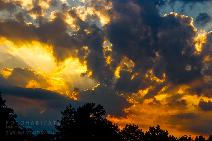 G-0001-fotohabitate_beauty-sunset-darss