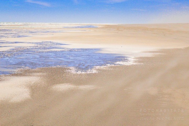 Wattenmeer mit Prielen