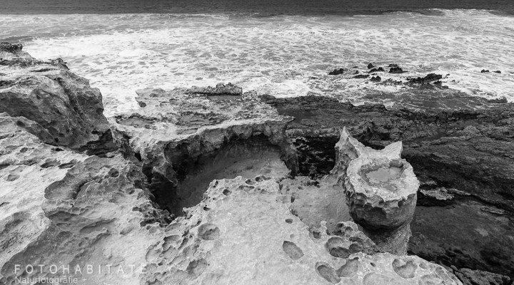 Kalkstein in Toeilettenform an Küste in schwarzweiß