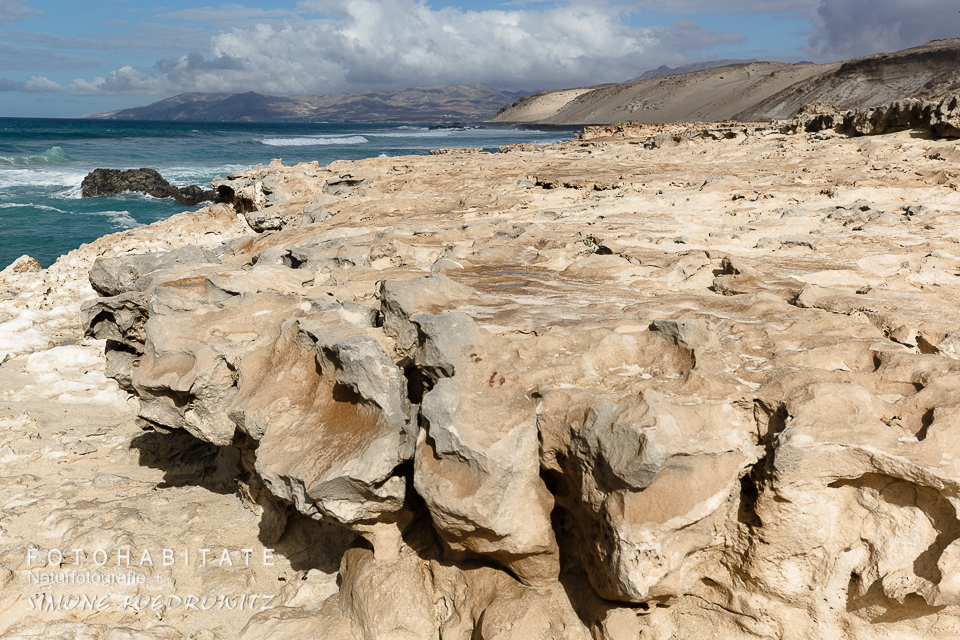 kalkhalttiger weißer Sandboden an Küste