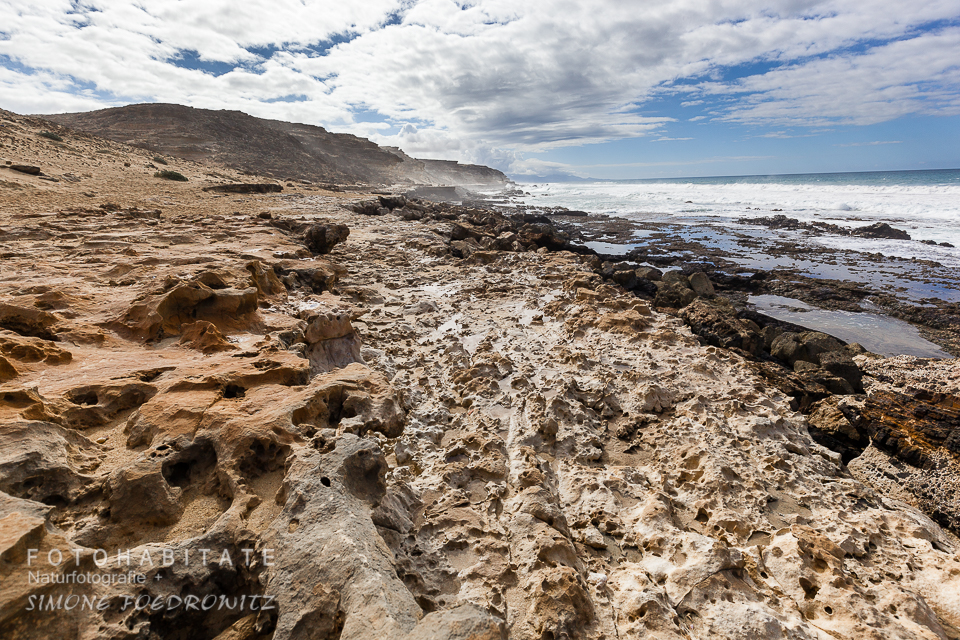 kalkhalttiger Sandboden an Küste