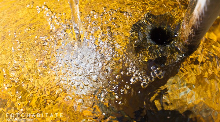 sprudelndes Wasser im Trog - orangefarben