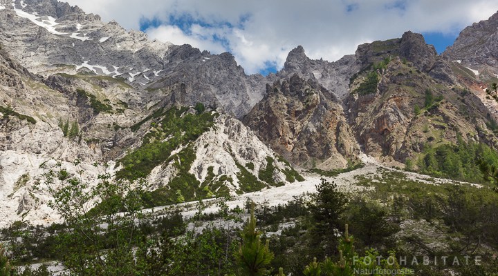 Bergkette mit weißem Geröll und Bäumen