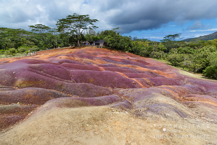 farbige wellige Dünenlandschaft im Regenwald