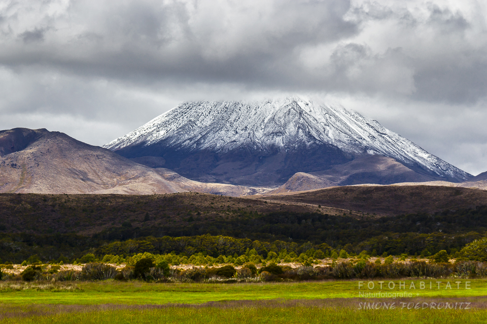 Schneebedeckter Berg Graslandschaft