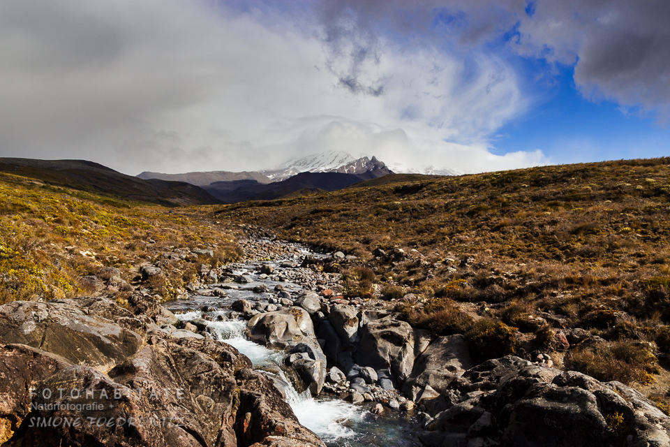 Steiniger Fluss in Graslandschaft vor Bergen