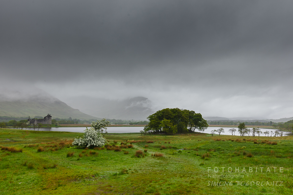 Burg am See mit grüner Wiese