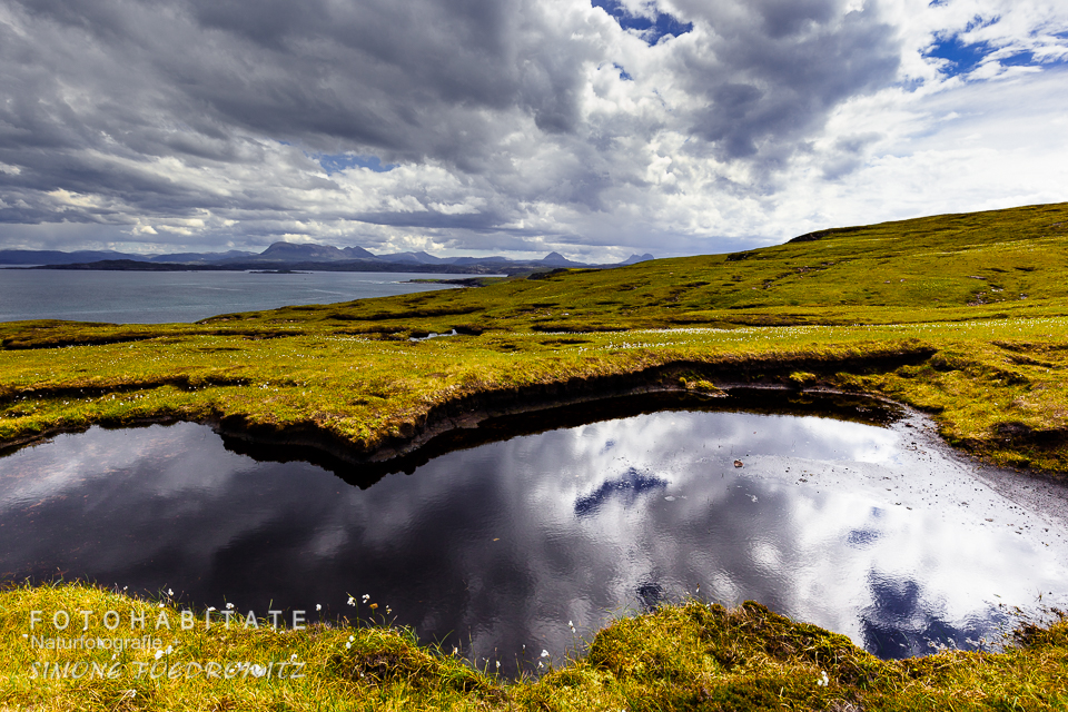 Morige Wiese mit Wasserfläche