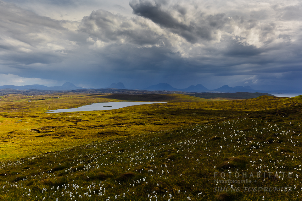 Gewitter über Wiese