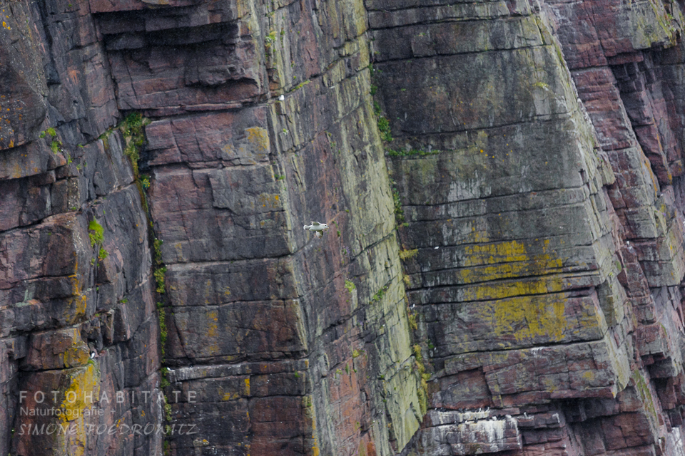 lila und grün farbene Felsklippen