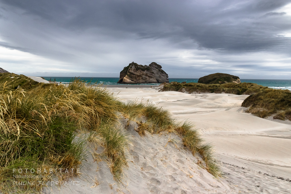 bewachsene Dünen mit Felsen am Meer