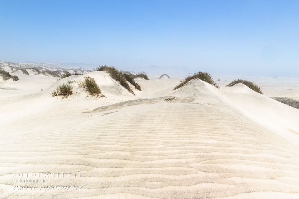 Weiße Dünen mit Windmuster