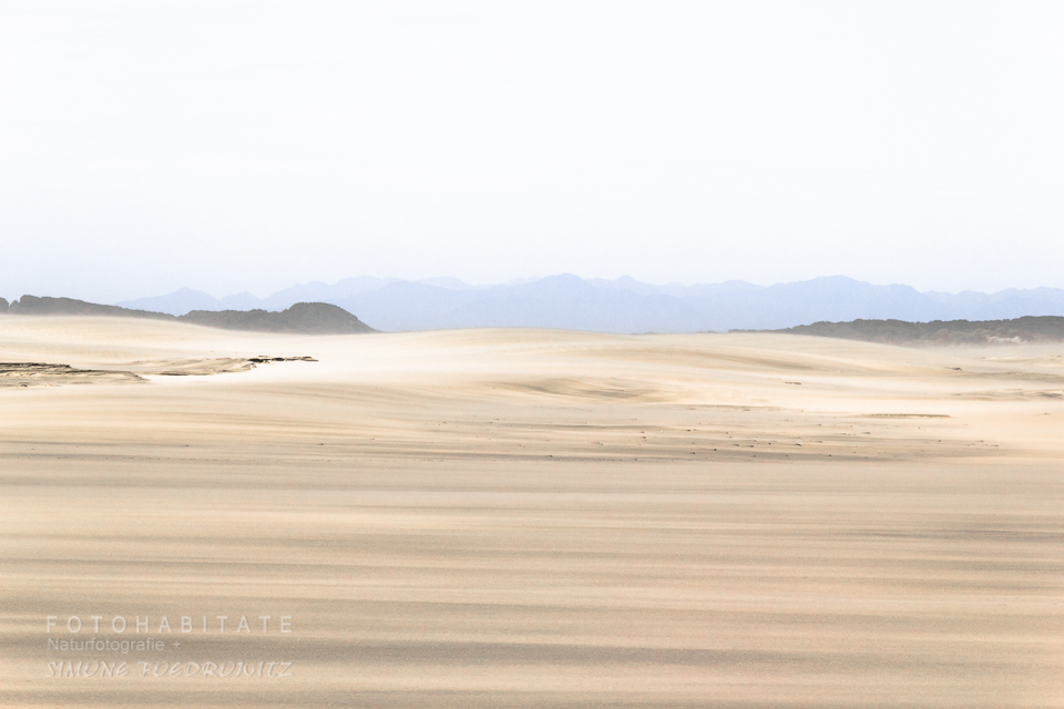Wüstenähnliche Landschaft mit Bergen im Hintergrund