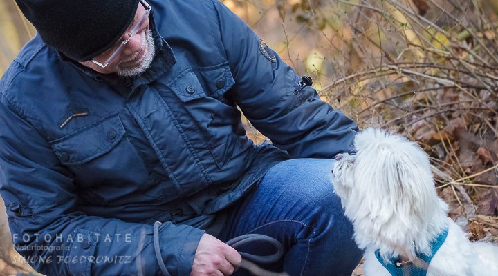 Mann und weisser kleiner Hund schauen sich an