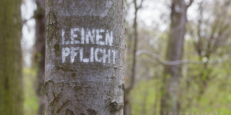 Schriftzug Leinenpflicht an Baumstamm